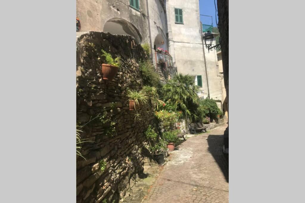 Alloggio U Sportegu Da E Monti A Giaia Badalucco Luaran gambar