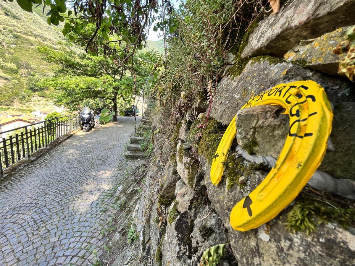 Alloggio U Sportegu Da E Monti A Giaia Badalucco Luaran gambar